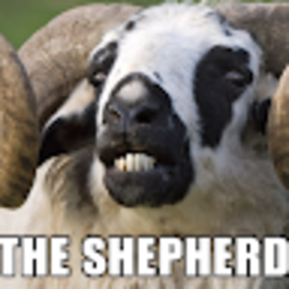 Meet your Posher, U